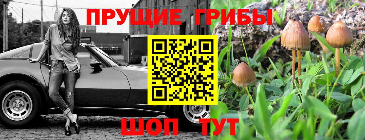 Топки  Галлюциногенные грибы GOLDEN TEACHER  Вход с VPN 