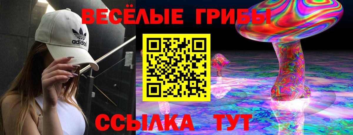 Псилоцибиновые грибы ЛСД Топки